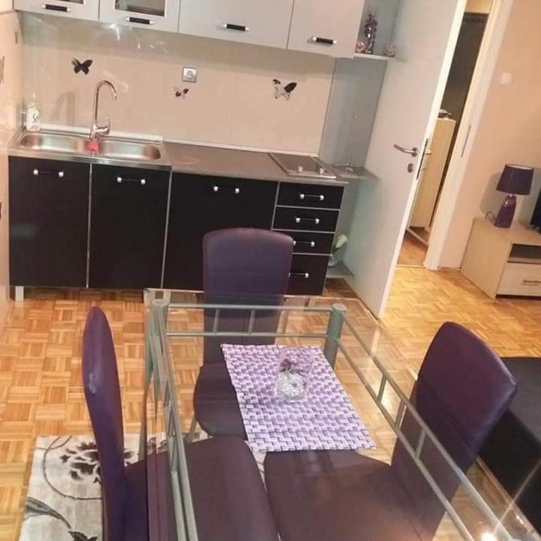 Apartman Radjenovic - Apartman sa 2 Spavaće Sobe - 9