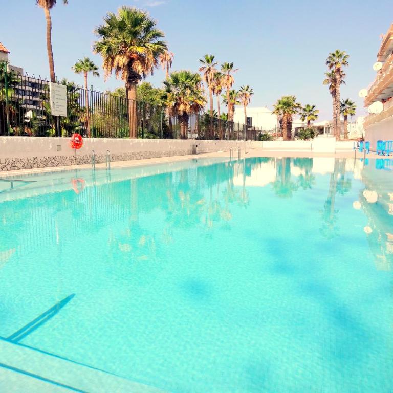 apartment with a large south-facing balcony, sea view and WIFI in Las Americas center - Apartamento de 1 dormitorio - 14