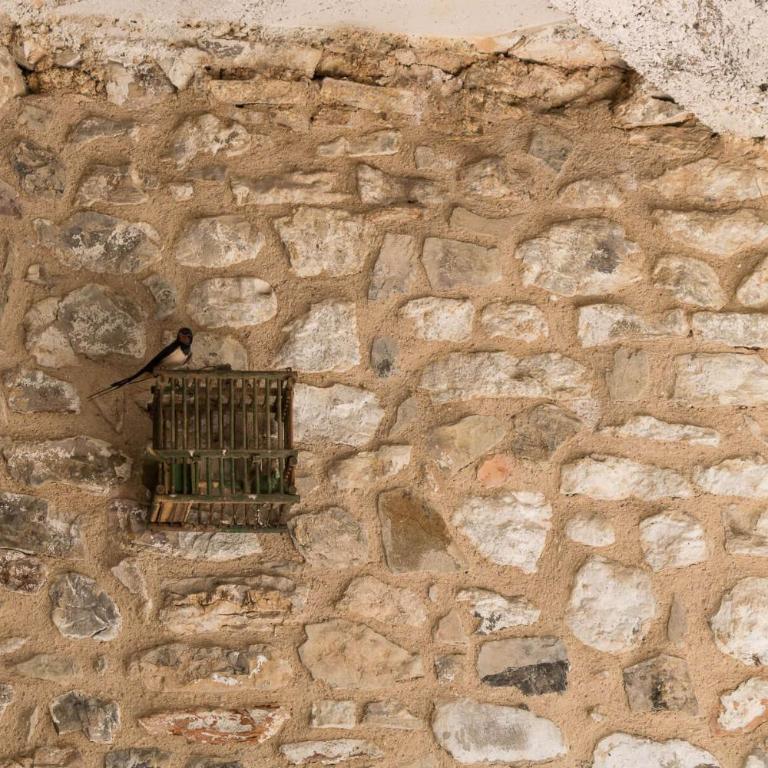 La Vigna - Appartamento con 1 Camera da Letto - 49