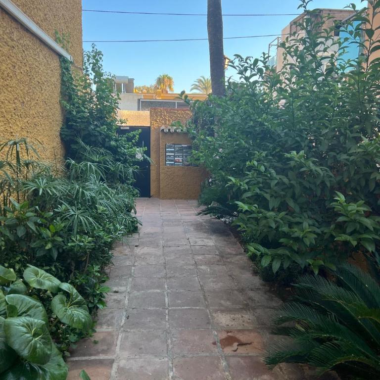 Relaxing Vacation - Apartamento - 12