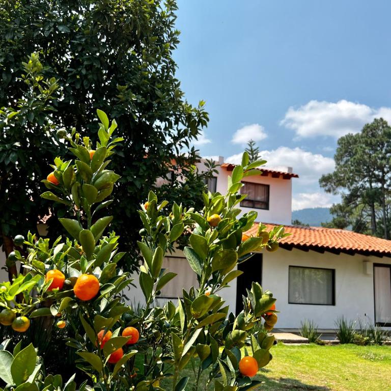 Casa Lunah Avandaro - Casa de 4 dormitorios - 4