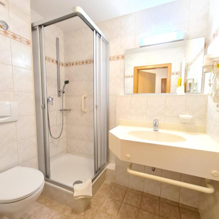 Thermenhotel Tannenhof - Ihr Wohlfühl-Hotel - Einzelzimmer - 8