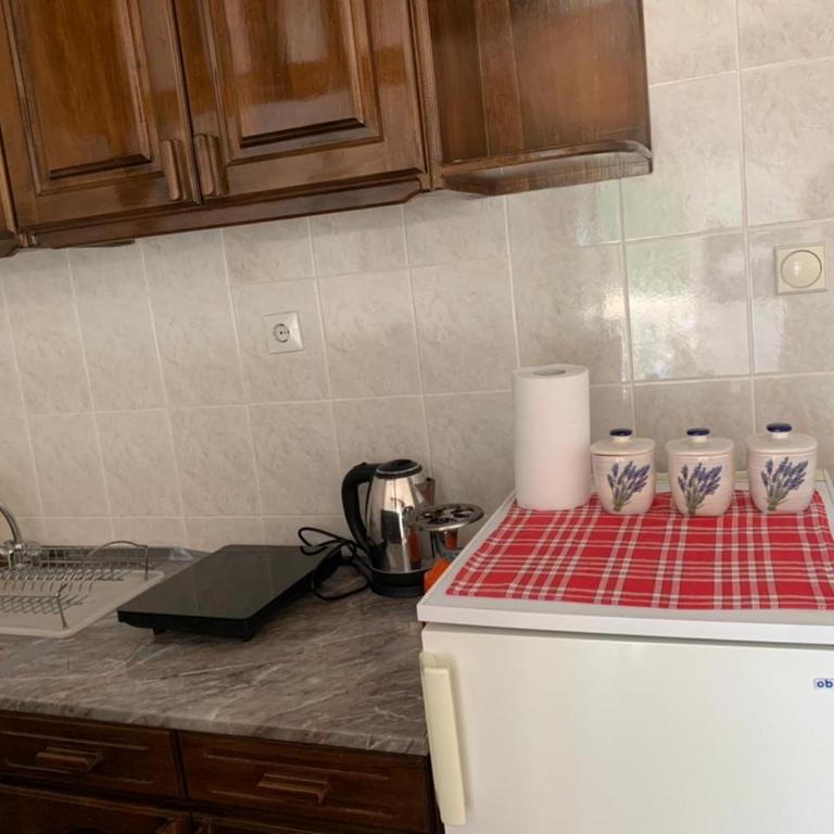 Apartman Drago Sveti Stefan - Apartman sa Pogledom na More - 8