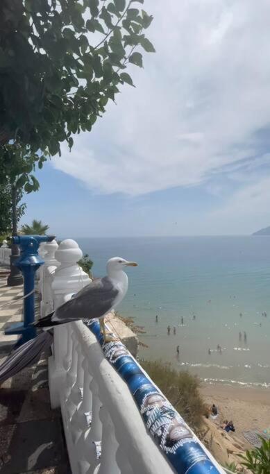 Apartamento céntrico y en primera línea de playa - Three-Bedroom Apartment - 27