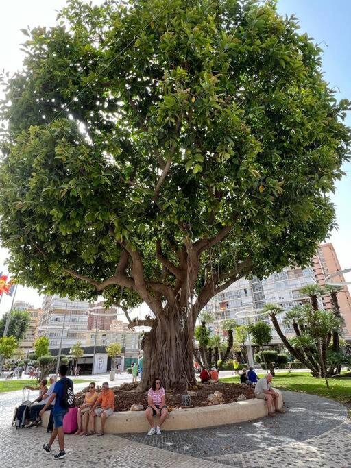 Apartamento céntrico y en primera línea de playa - Three-Bedroom Apartment - 38