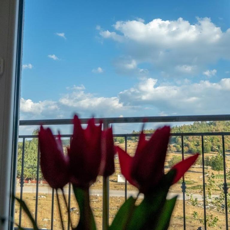 Gazdinstvo Popovic,Kucka Korita-Podgorica - Three-Bedroom Apartment with Mountain View - 14