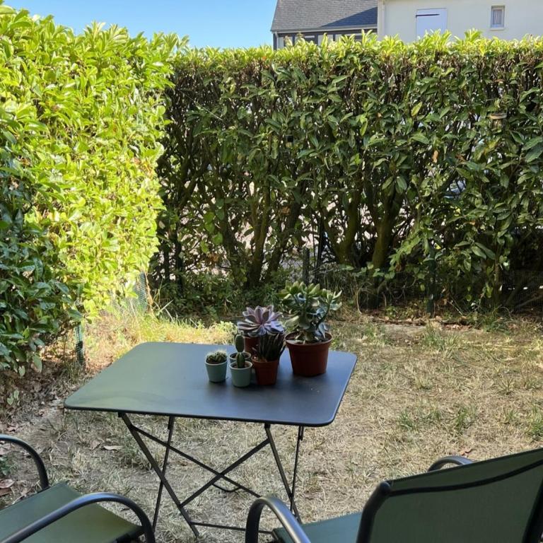 Appartement T2 avec Jardin, Proche Plage et Centre, Parking Privé, Animaux Acceptés, Wi-Fi Gratuit - FR-1-487-342 - Appartement - 3