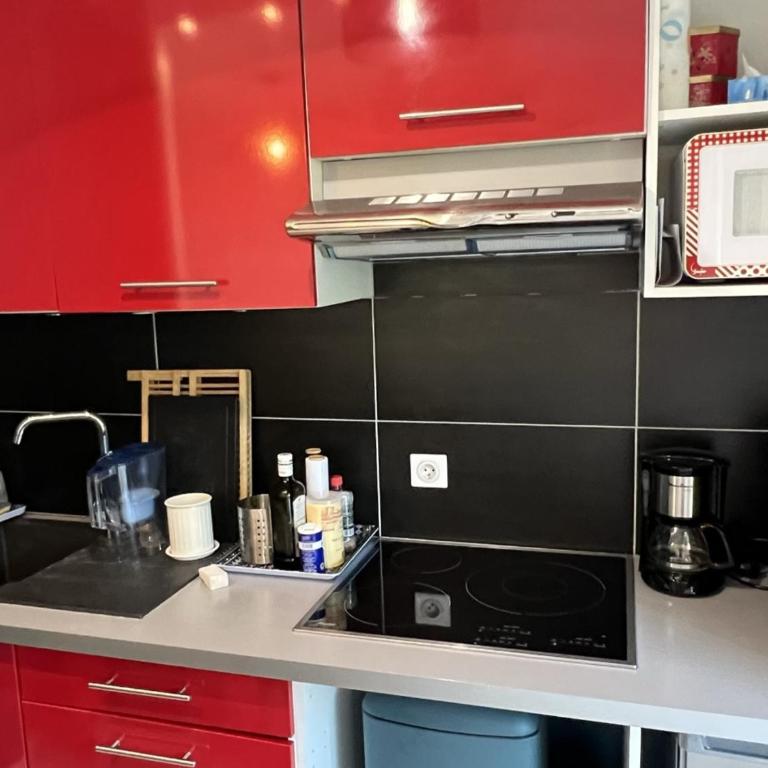 Appartement T2 avec Jardin, Proche Plage et Centre, Parking Privé, Animaux Acceptés, Wi-Fi Gratuit - FR-1-487-342 - Appartement - 5
