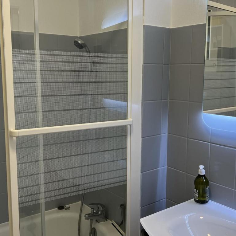 Appartement T2 avec Jardin, Proche Plage et Centre, Parking Privé, Animaux Acceptés, Wi-Fi Gratuit - FR-1-487-342 - Appartement - 10