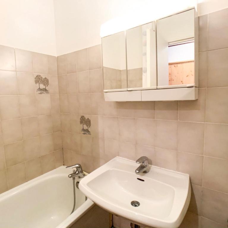Studio lumineux & fonctionnel proche pistes et commerces - Balcon - Animaux acceptés - FR-1-502-447 - Monolocale - 4