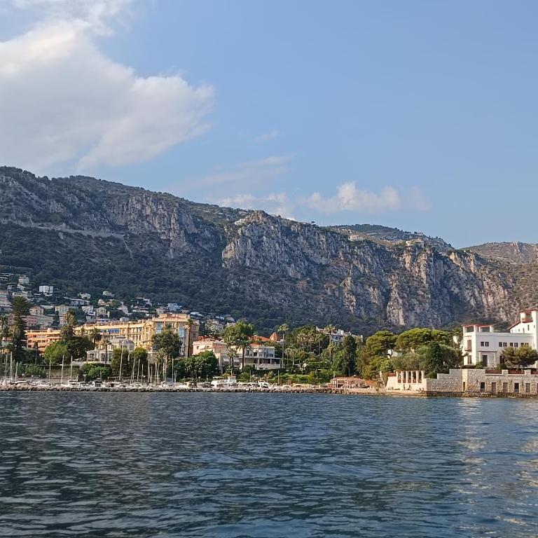 Studette "La Fourmi" proche centre et plage - Studio - 13