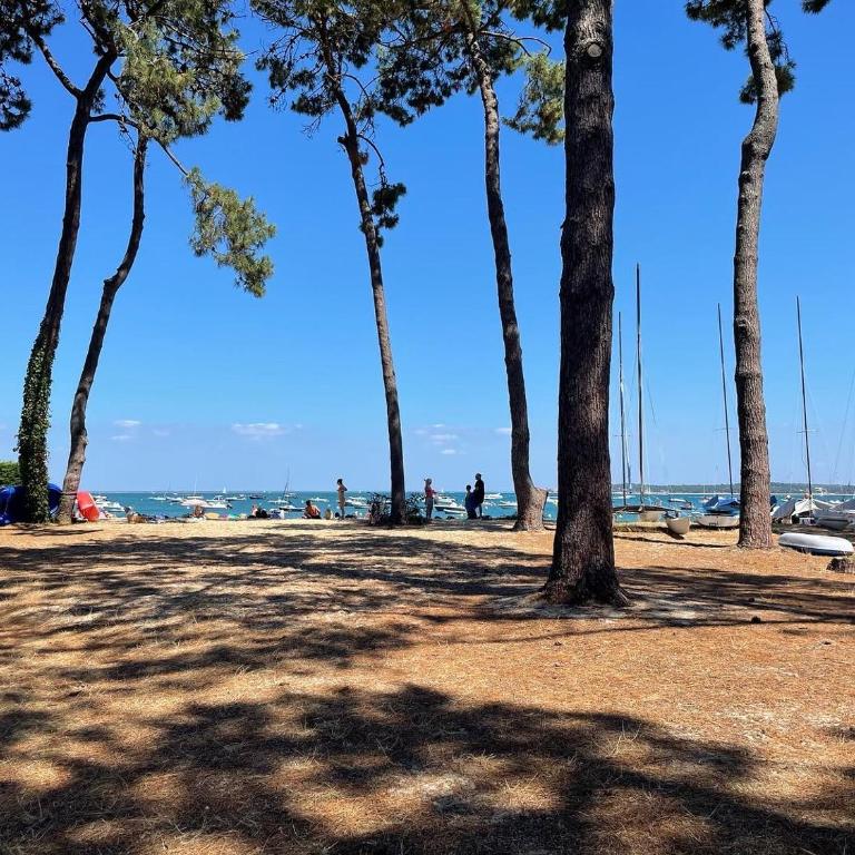Cap Ferret - Villa Sérénité - piscine, proche Océan et Bassin, classée 4 étoiles Meublé de tourisme - Villa - 29