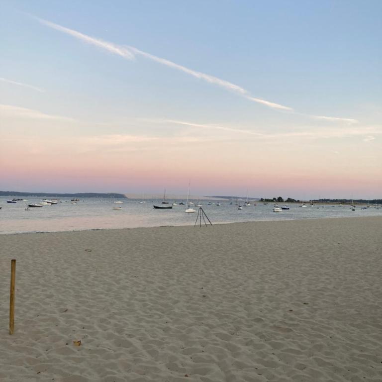 Cap Ferret - Villa Sérénité - piscine, proche Océan et Bassin, classée 4 étoiles Meublé de tourisme - Villa - 31