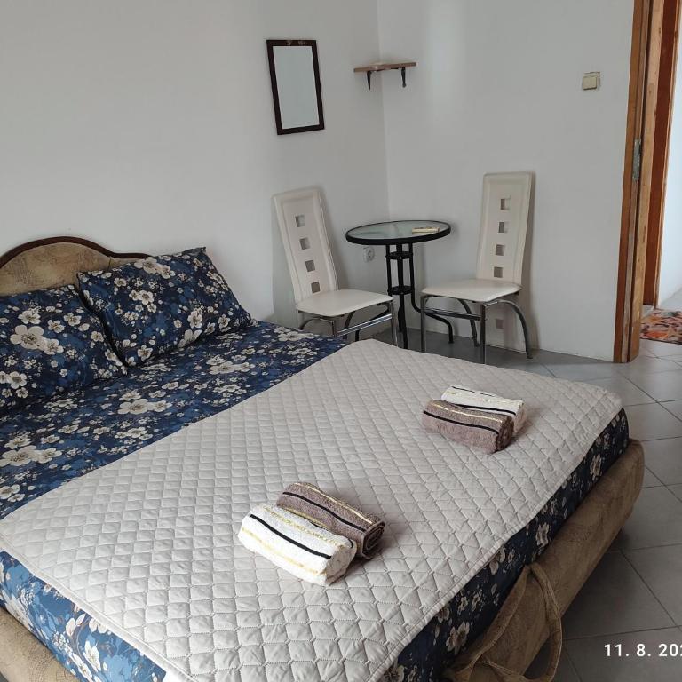 Pejovic Guest House - Apartman sa 1 Spavaćom Sobom - 3