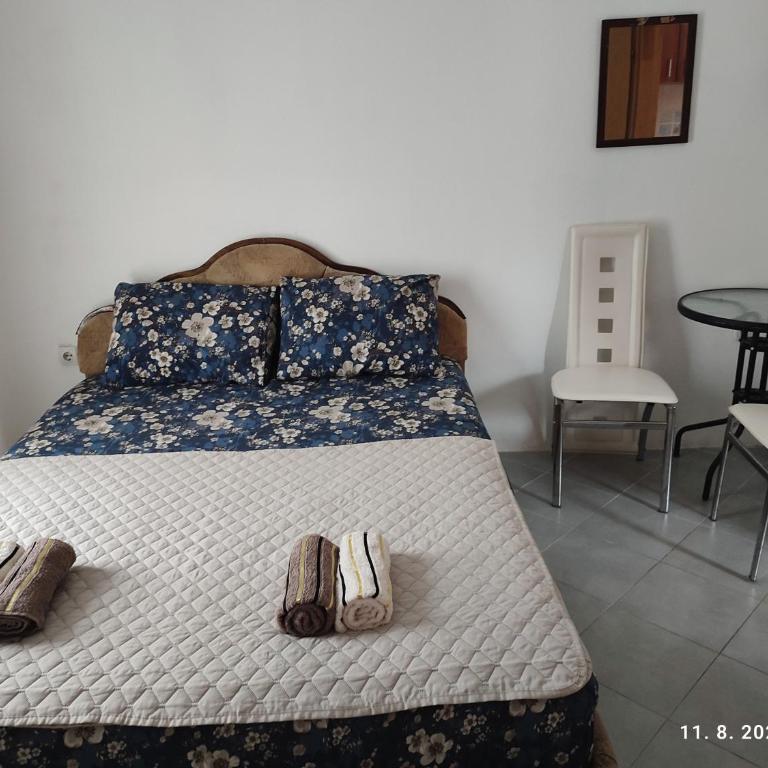Pejovic Guest House - Apartman sa 1 Spavaćom Sobom - 4