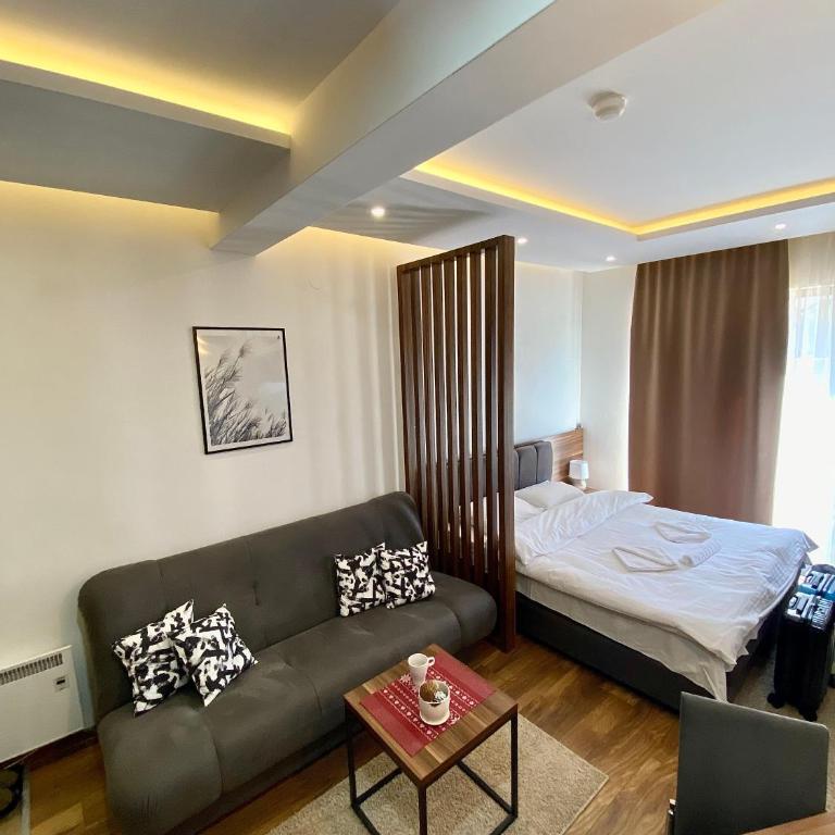 Apartman Milosavljevic-President Kop - One-Bedroom Apartment - 3