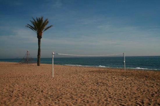 Playa Paraiso 31D - Apartment with Pool View - 11