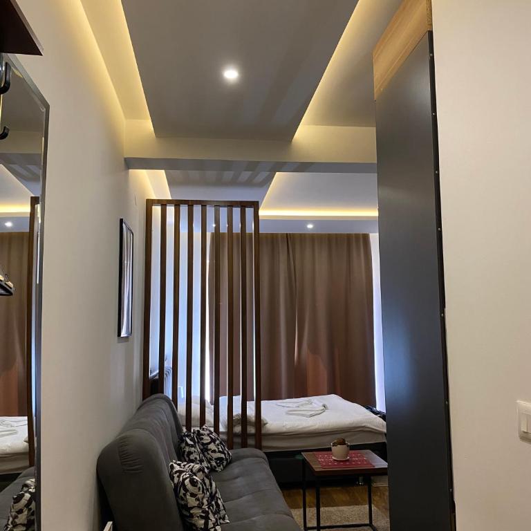 Apartman Milosavljevic-President Kop - One-Bedroom Apartment - 2