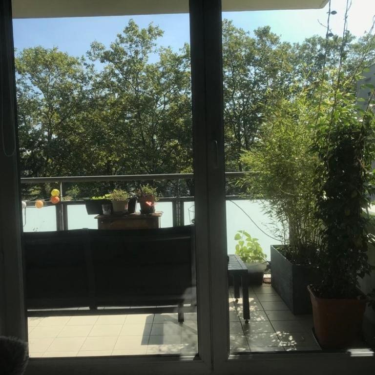 A Room - Une chambre dans un appartement meublé et équipé - Clinique de la Sauvegarde - location courte durée - Apartamento de 1 dormitorio - 4