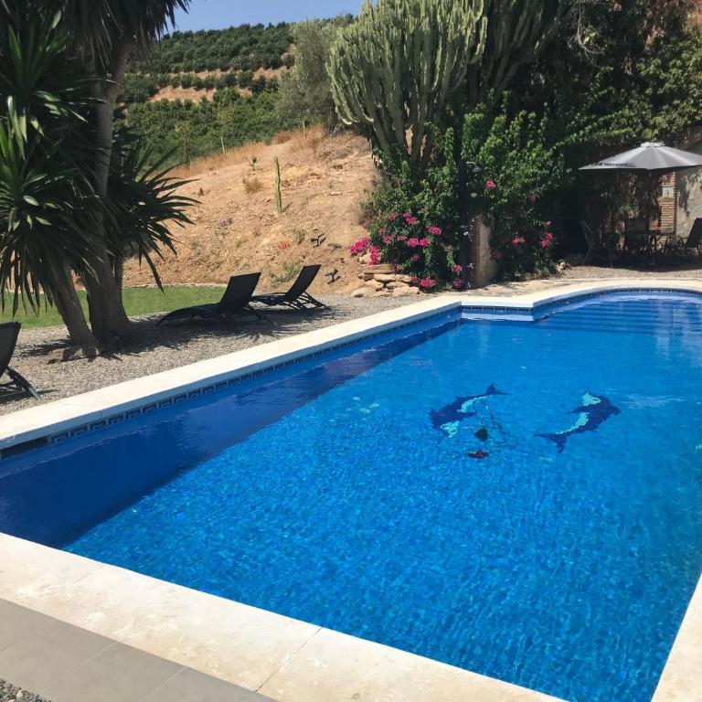 Studio Views Apartment, Cortijo Fruitful Hills - Apartamento de 1 dormitorio - 25