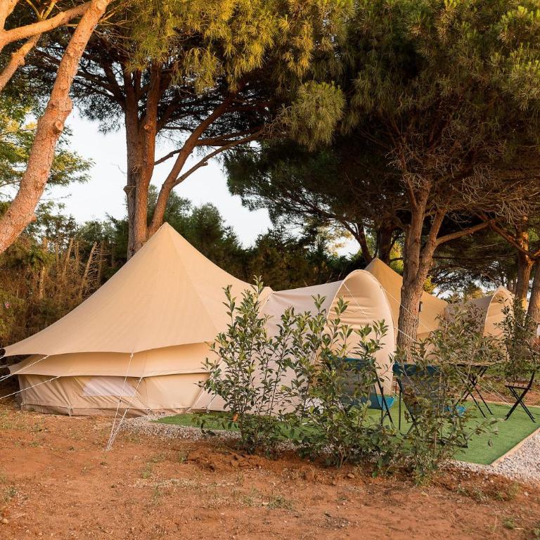 Glamping La Mimosa CONIL - Tienda - 7