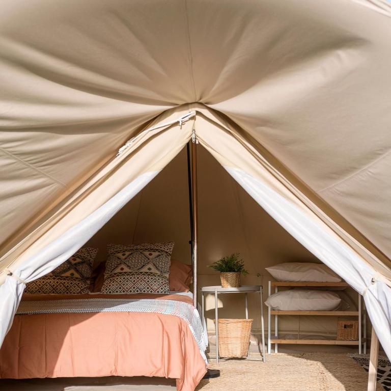 Glamping La Mimosa CONIL - Tienda - 4