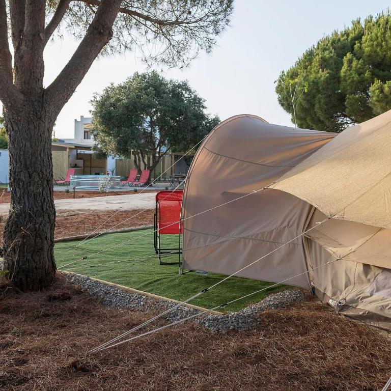 Glamping La Mimosa CONIL - Tienda - 9