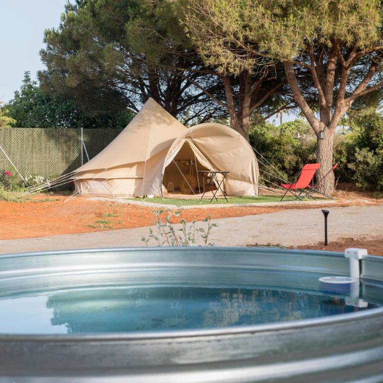 Glamping La Mimosa CONIL - Tienda - 7