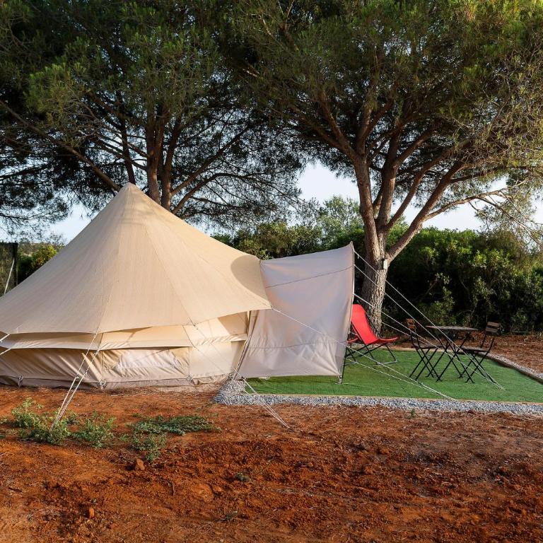 Glamping La Mimosa CONIL - Tienda - 4