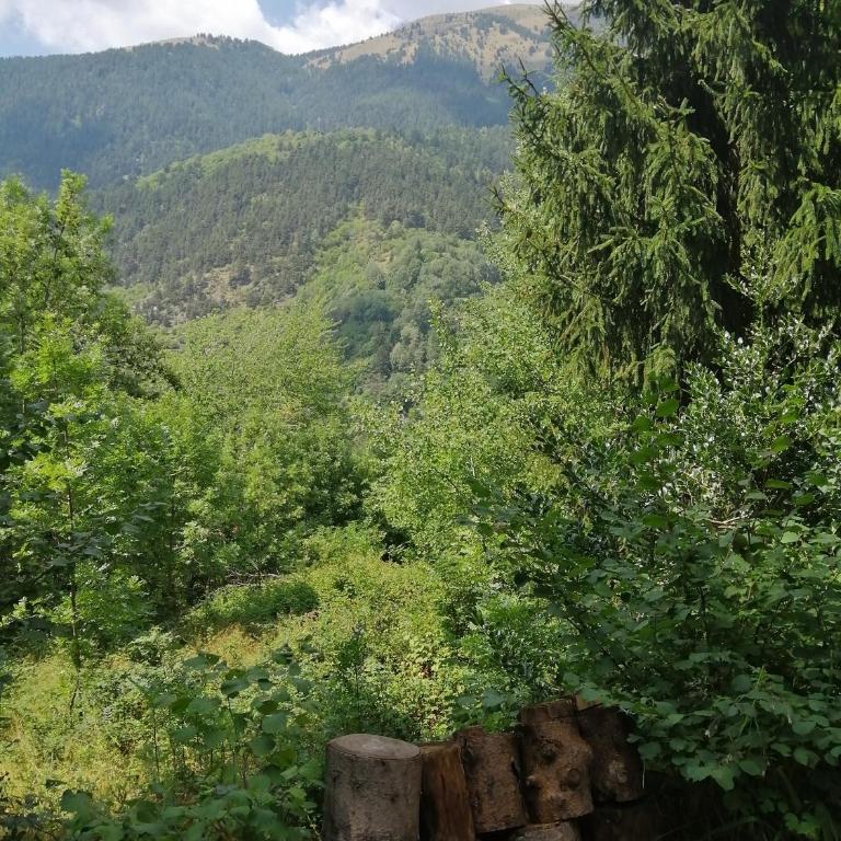 Chalet Le Tyrolien, au coeur du Boréon - Chalet 2 Chambres - 26