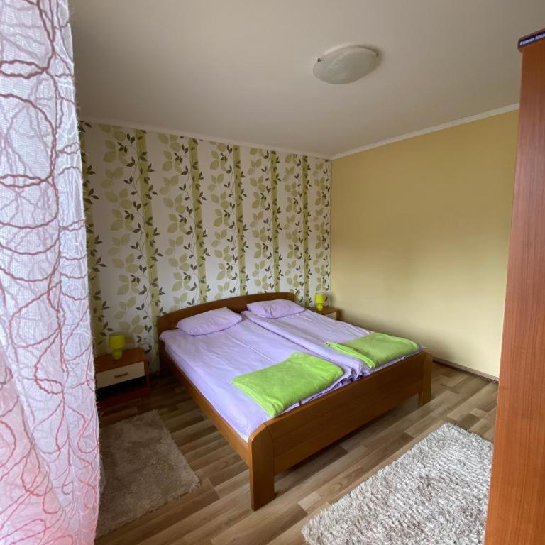 Apartment Zabljak Center - Apartment with Mountain View - 10