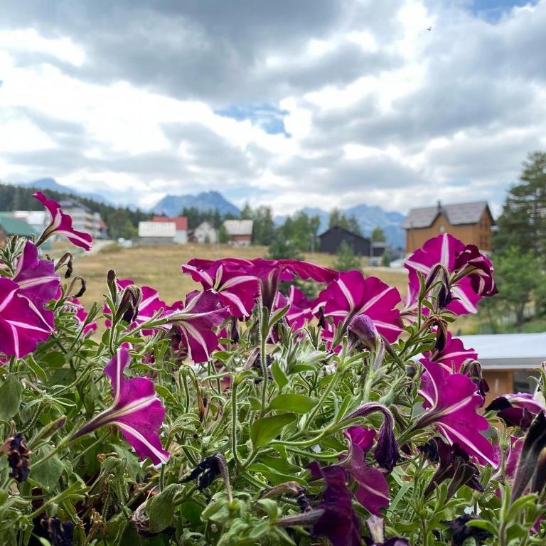 Apartment Zabljak Center - Apartment with Mountain View - 3