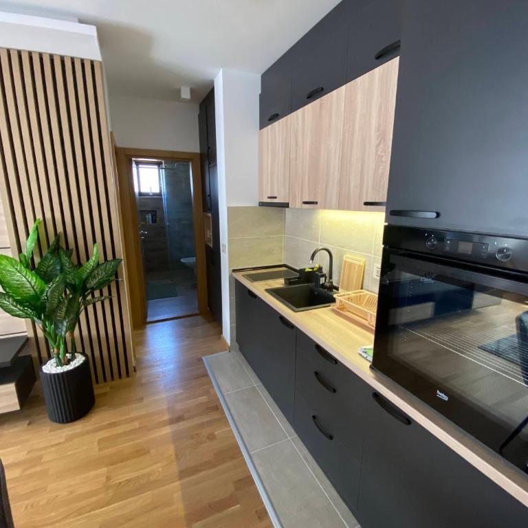 Apartman Pinora, Bazen&Spa - Apartman sa 1 Spavaćom Sobom - 33