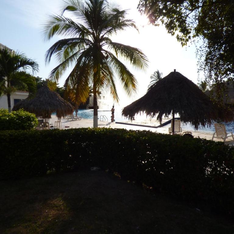 Costa Azul Suites 1002 - One-Bedroom Apartment with Balcony and Sea View - 19