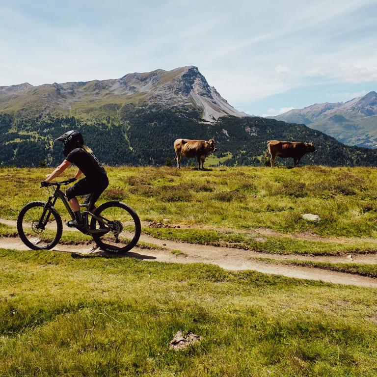 Palazi Apartments & Spa - Bike, Ski & Wellness in Nauders - Apartment Roi mit 2 Schlafzimmern - 33