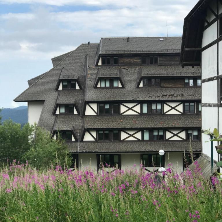 Kopaonik Župa 505 - One-Bedroom Apartment - 34