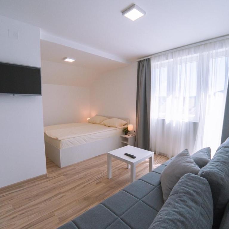 Milutinn-Lipa - Apartman sa 1 Spavaćom Sobom - 15