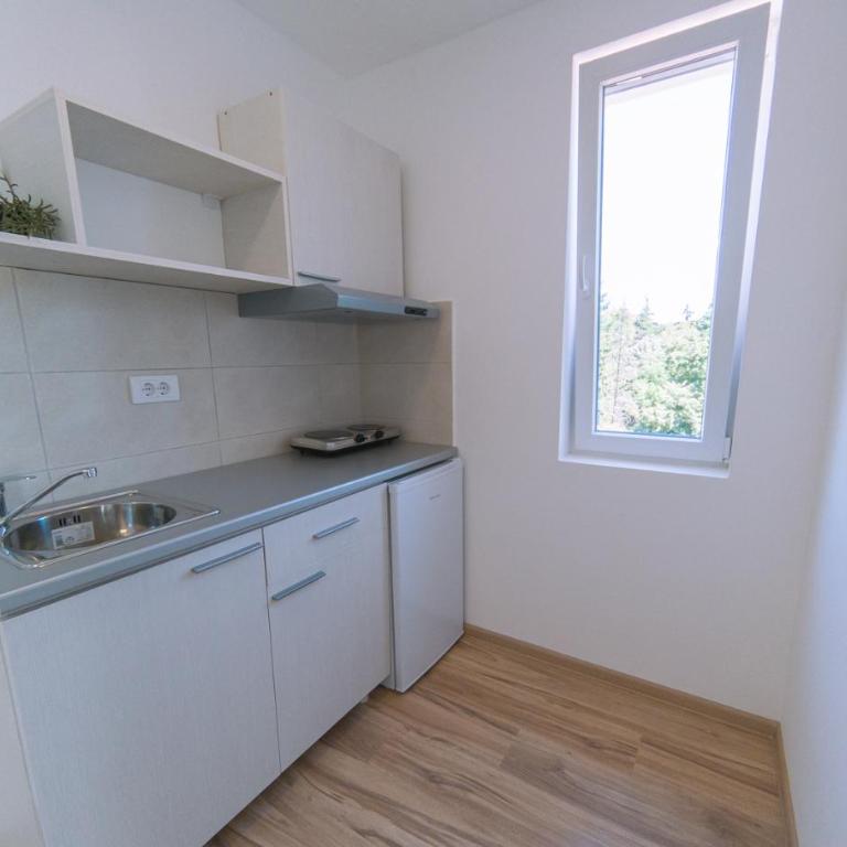 Milutinn-Lipa - Apartman sa 1 Spavaćom Sobom - 26