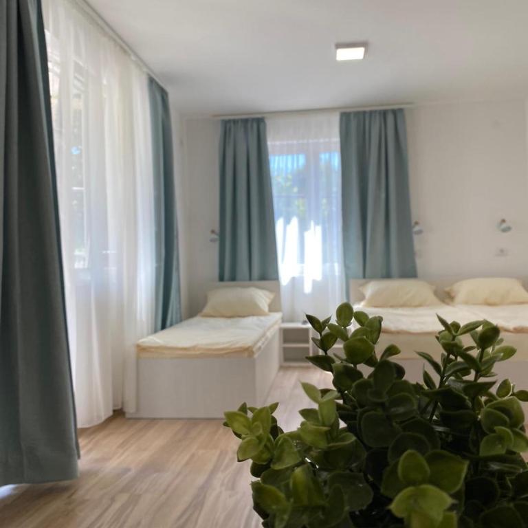 Milutinn-Kruška-Magnolija - One-Bedroom Apartment - 18