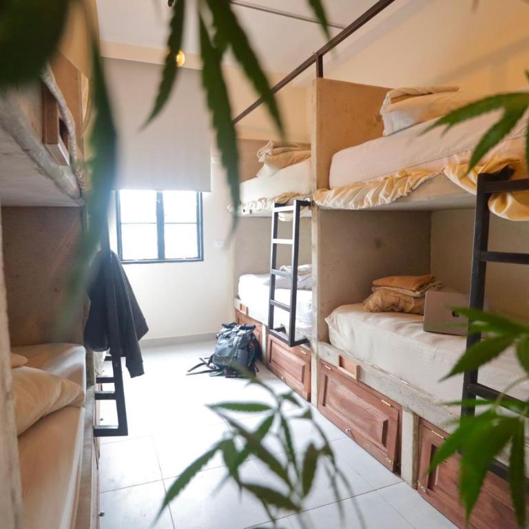 Distrito Hostel - Cama en habitación compartida mixta de 8 camas - 1