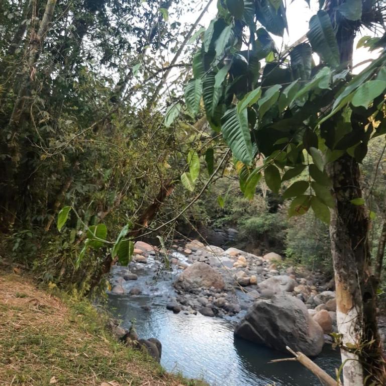 Eco Aldea Topacio - Twin Room with Private Bathroom - 11