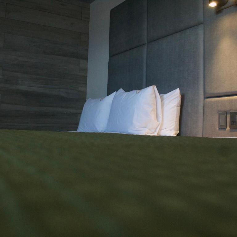 Hotel Grand One Plaza - Habitación Deluxe con 2 camas grandes - 3