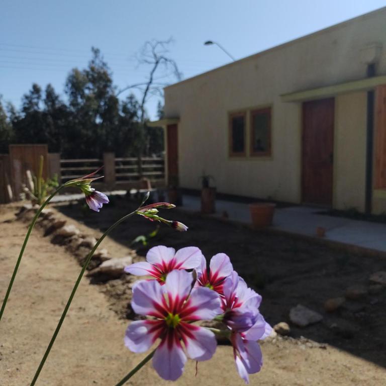 El Nido del Colibri - Apartamento de 3 dormitorios - 11