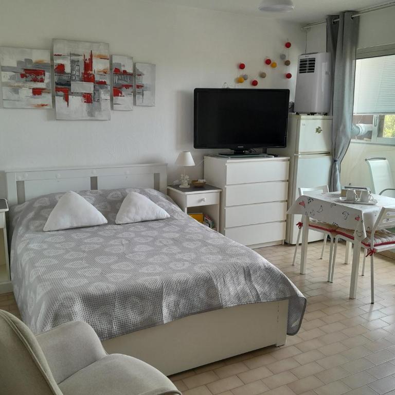 STUDIO CONFORT ET LUMINEUX avec LOGGIA ET PARKING - Studio - 1