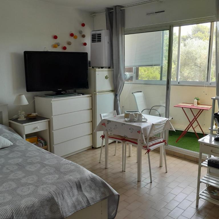 STUDIO CONFORT ET LUMINEUX avec LOGGIA ET PARKING - Studio - 14