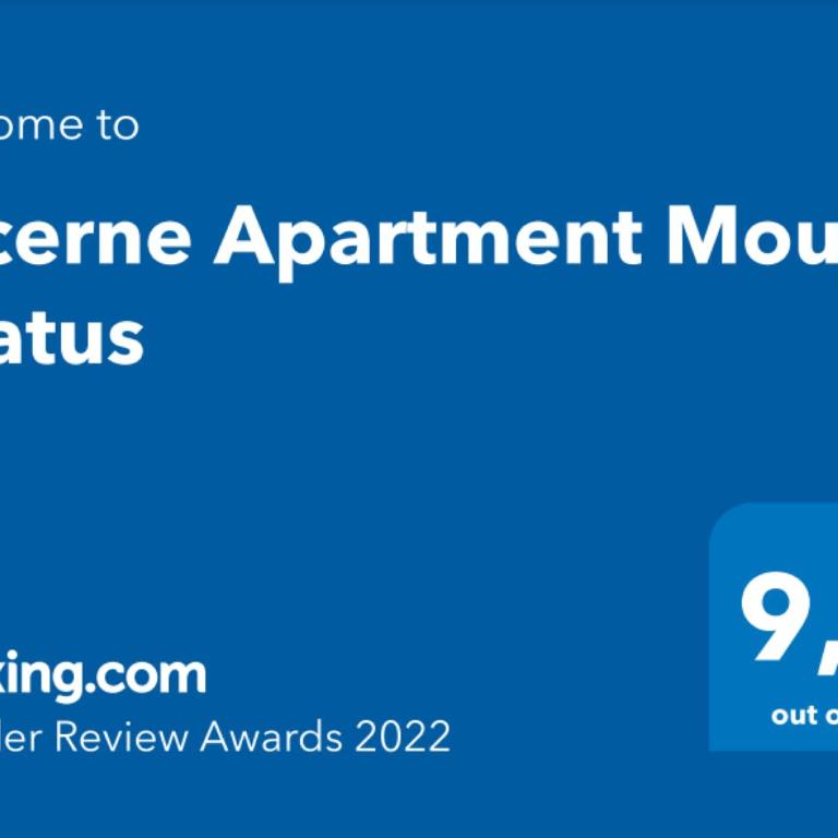 Lucerne Apartment Mount Pilatus - Apartment mit 1 Schlafzimmer - 25