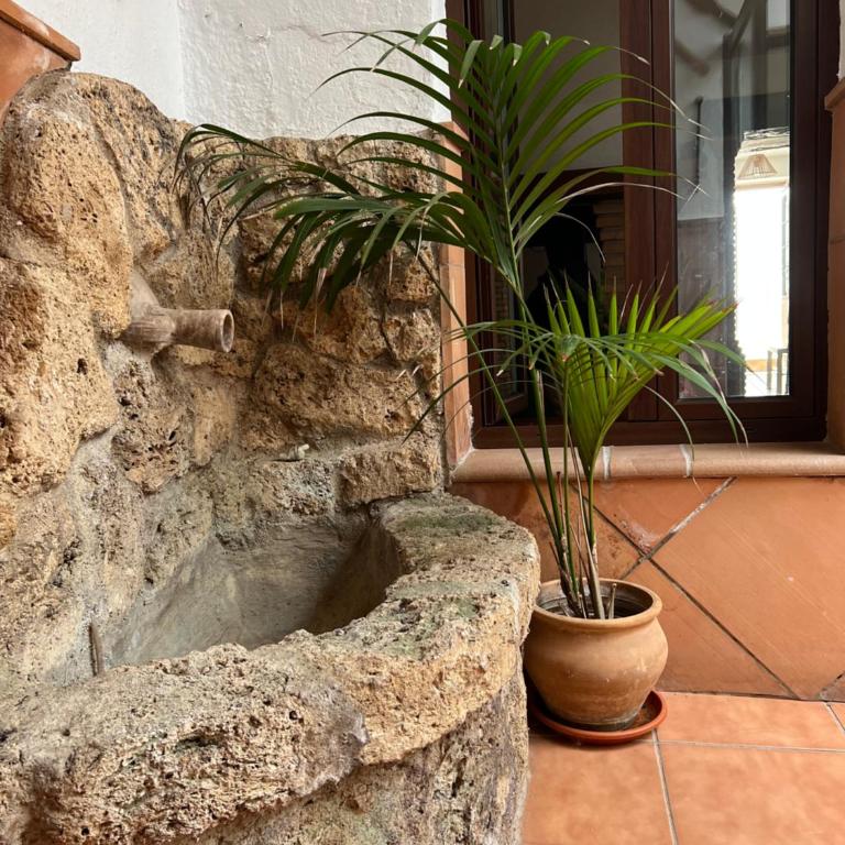 Alojamiento Rural Con los pies en la sierra - Vacation Home - 10
