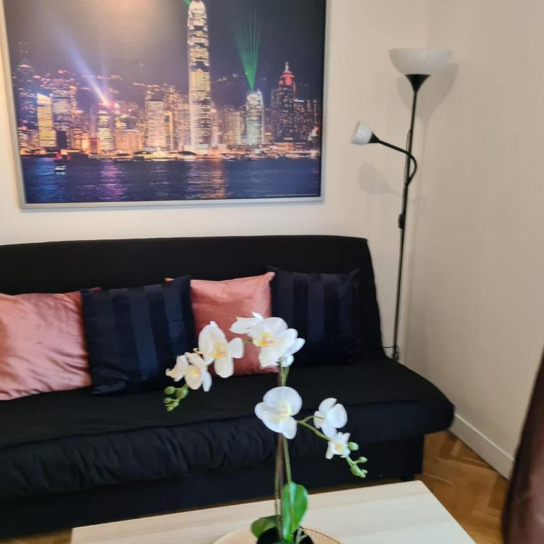 Appartement avec rez de jardin à Disneyland - Appartement - Rez-de-Chaussée - 63