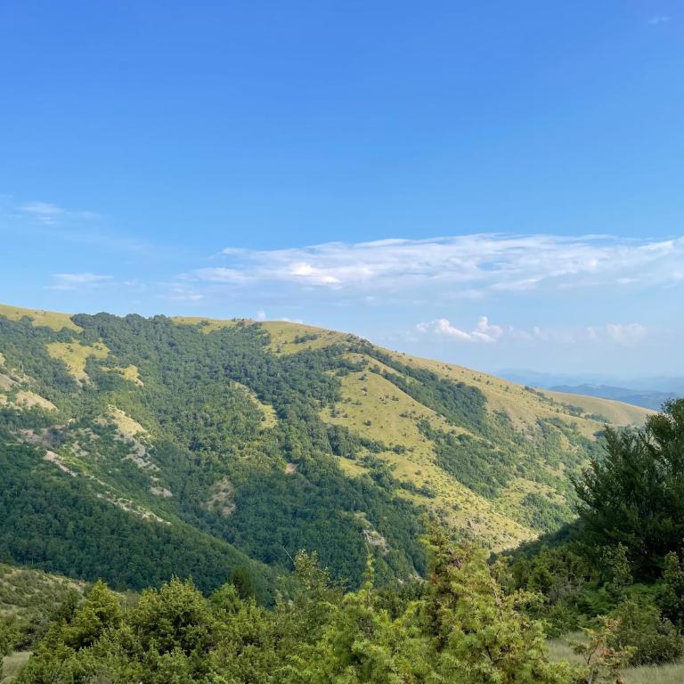 Milmari Resort Lux H-1 - Apartman sa 1 Spavaćom Sobom - 16