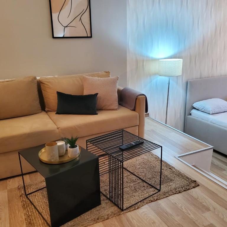 Sleep and drive premium - Apartman sa 1 Spavaćom Sobom - 5